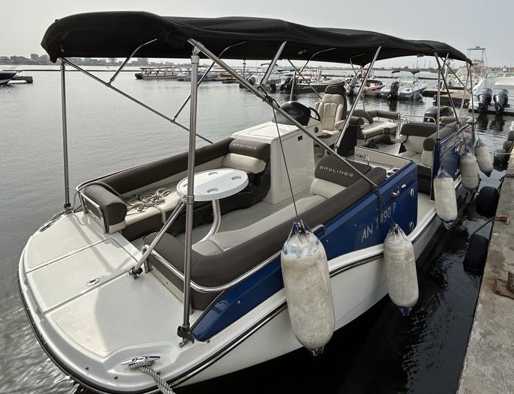 En vente bateau bayliner élément Xr 7 300 chevaux mercury